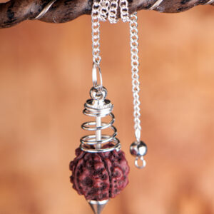 Pendel Rudraksha