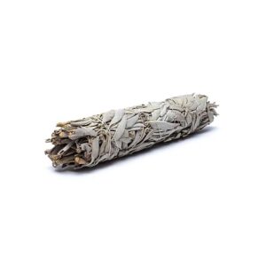 Vit salvia smudge L, 23 cm
