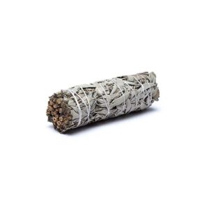 Vit salvia smudge M, 16 cm