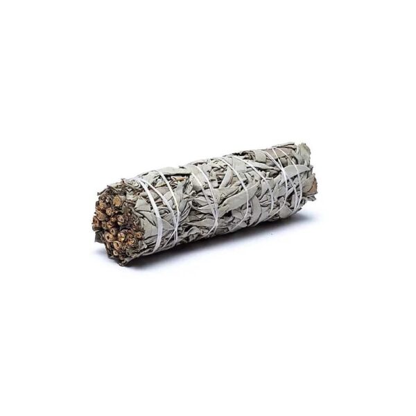 Vit salvia smudge M, 16 cm