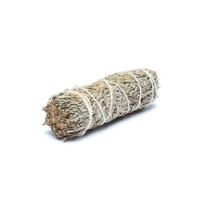 Shasta salvia smudge