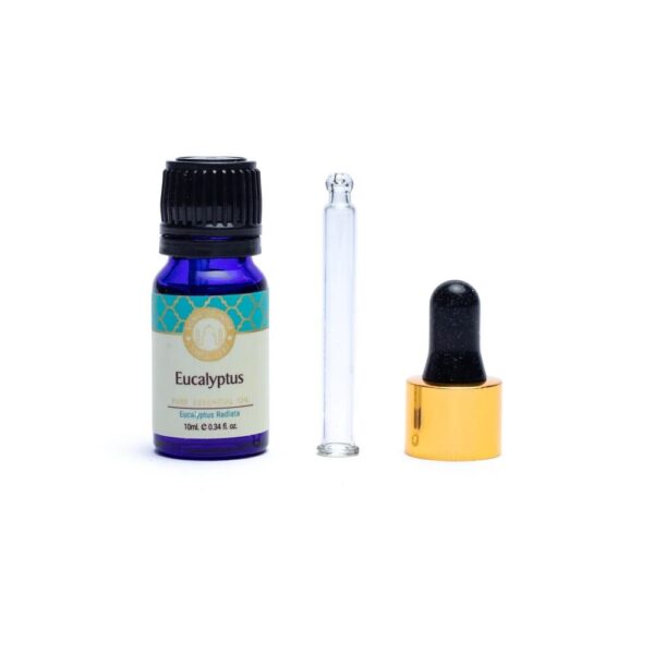 Eukalyptus, eterisk olja, 10 ml - Song of India - Bild 2