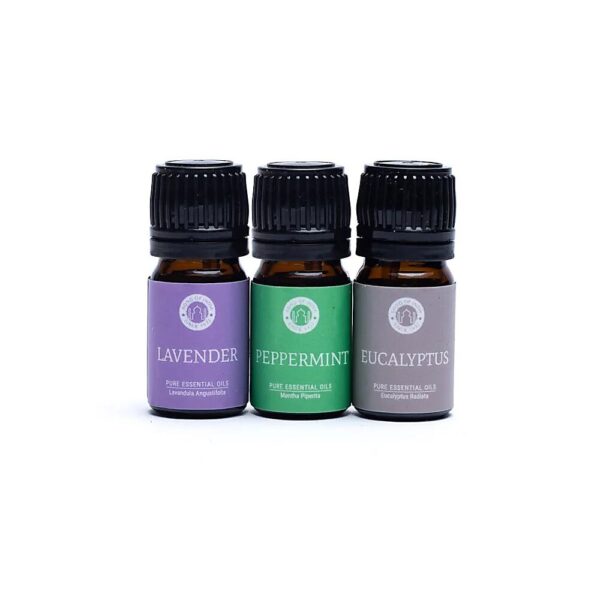 Aromaterapi anding, eterisk olja set. 3x5 ml - Song of India - Bild 2