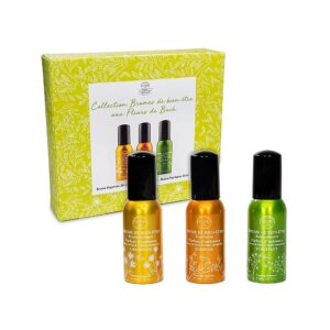 Bach rumsspray presentförpackning Välbefinnande ekologisk, 3x30 ml