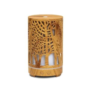 Ultrasonic diffusor för doftolja: Zen Forest natural, 200 ml