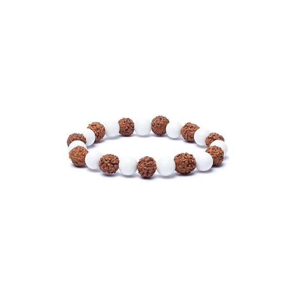 Armband rudraksha/snäckskal, 8 mm